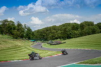 cadwell-no-limits-trackday;cadwell-park;cadwell-park-photographs;cadwell-trackday-photographs;enduro-digital-images;event-digital-images;eventdigitalimages;no-limits-trackdays;peter-wileman-photography;racing-digital-images;trackday-digital-images;trackday-photos